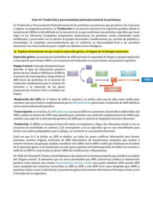 Guía 4 traducción y procesamiento postraduccional de las proteínas 