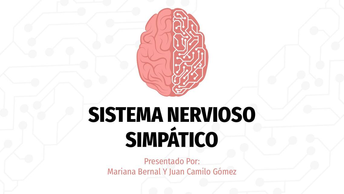 Sistema Nervioso Simpático 