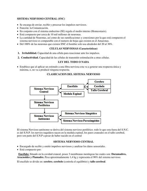 Sistema Nervioso Central 