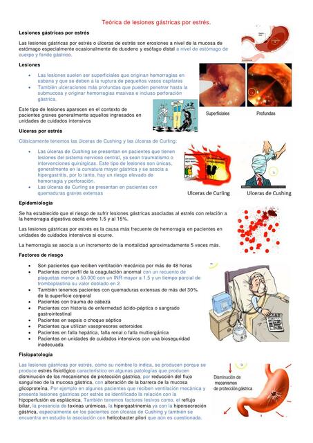 Teoría de Lesiones Gástricas por Estrés 