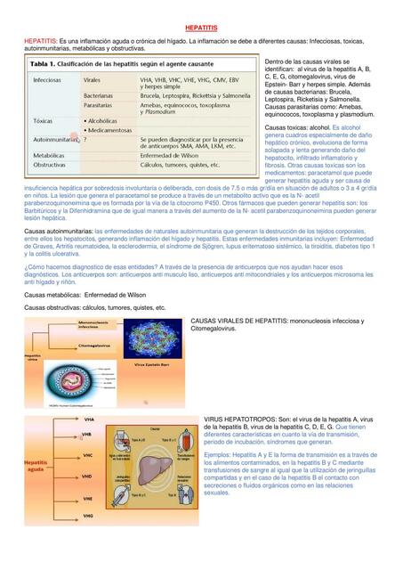 Hepatitis 