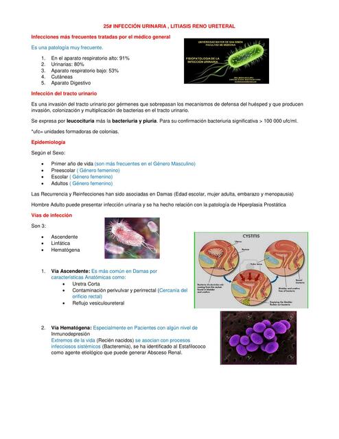 Infección Urinaria 