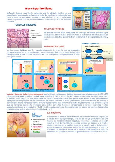 Hipo e Hipertiroidismo 