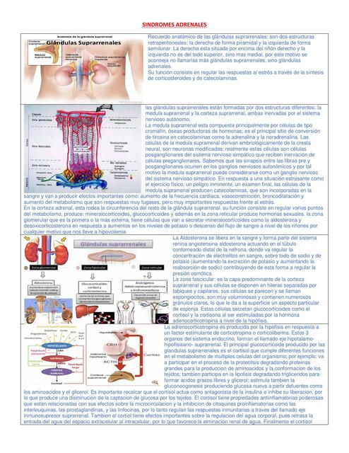 Síndromes Adrenales 