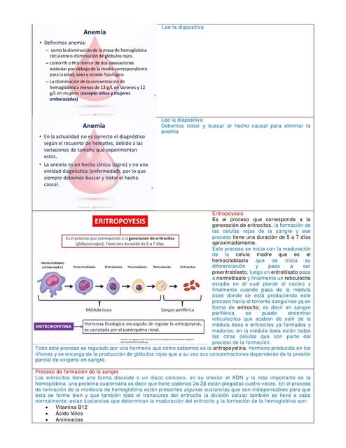 Anemia y Eritrocitos 