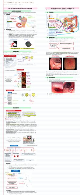 Hemorragia digestiva