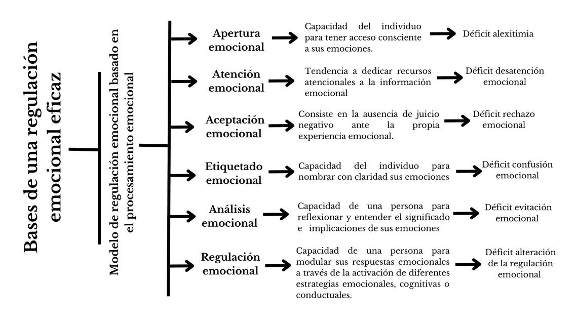 Bases de una Regulación Emocional Eficaz