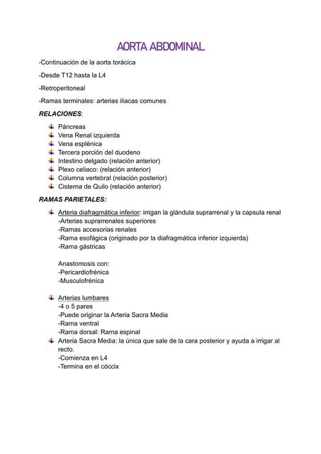 Aorta Abdominal 