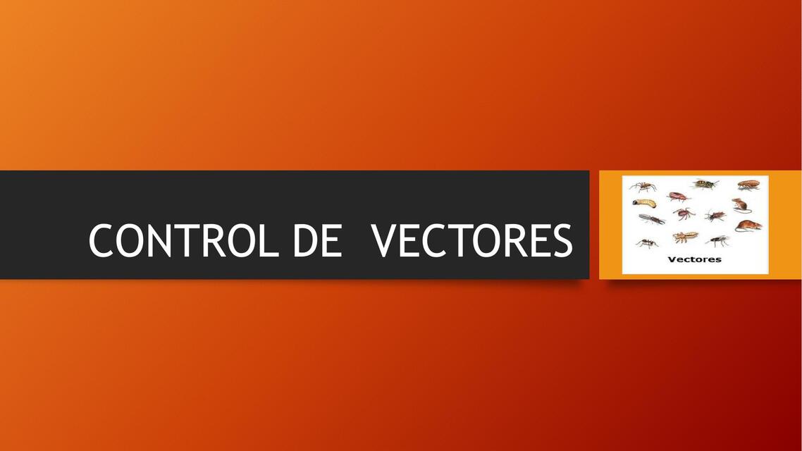 Control de vectores  