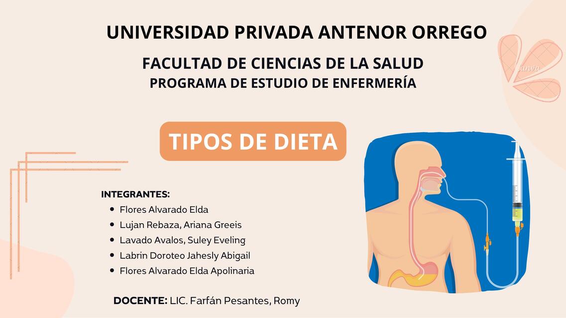 Tipos De Dieta Greeis Lujan Rebaza Udocz