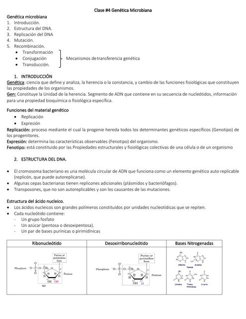 Genetica bacteriana 