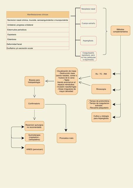 Adenocarcinoma 