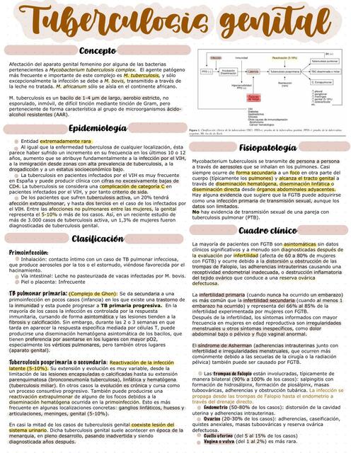 Tuberculosis genital