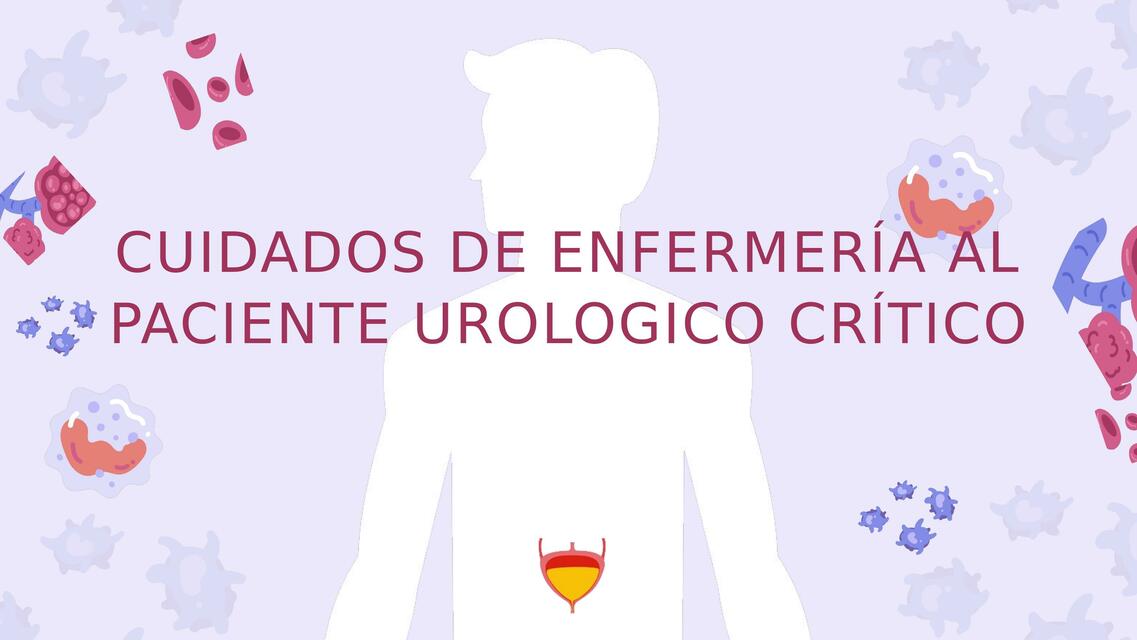 Cuidados de Enfermería al Paciente Urológico Crítico 