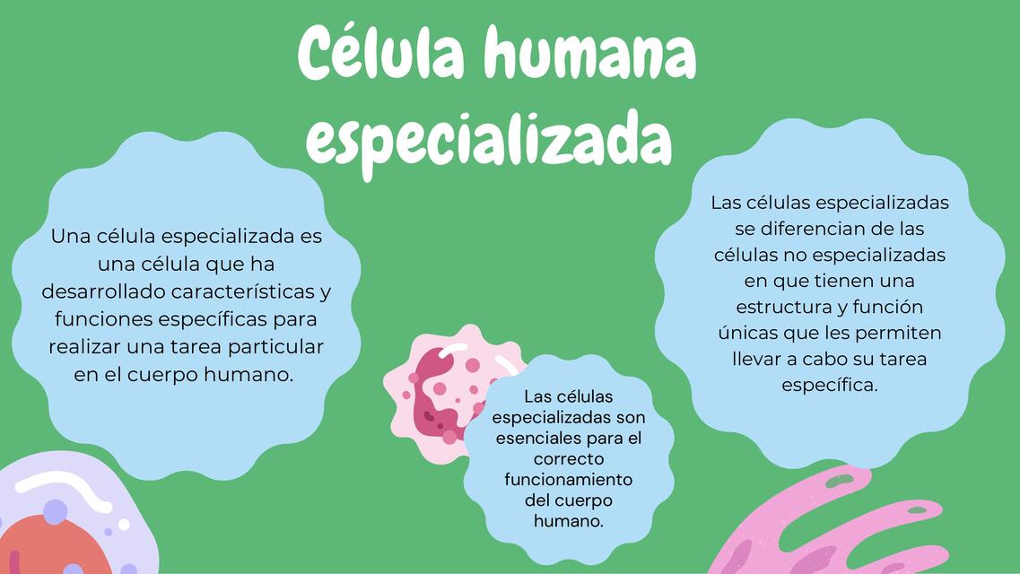 Células humanas especializadas 