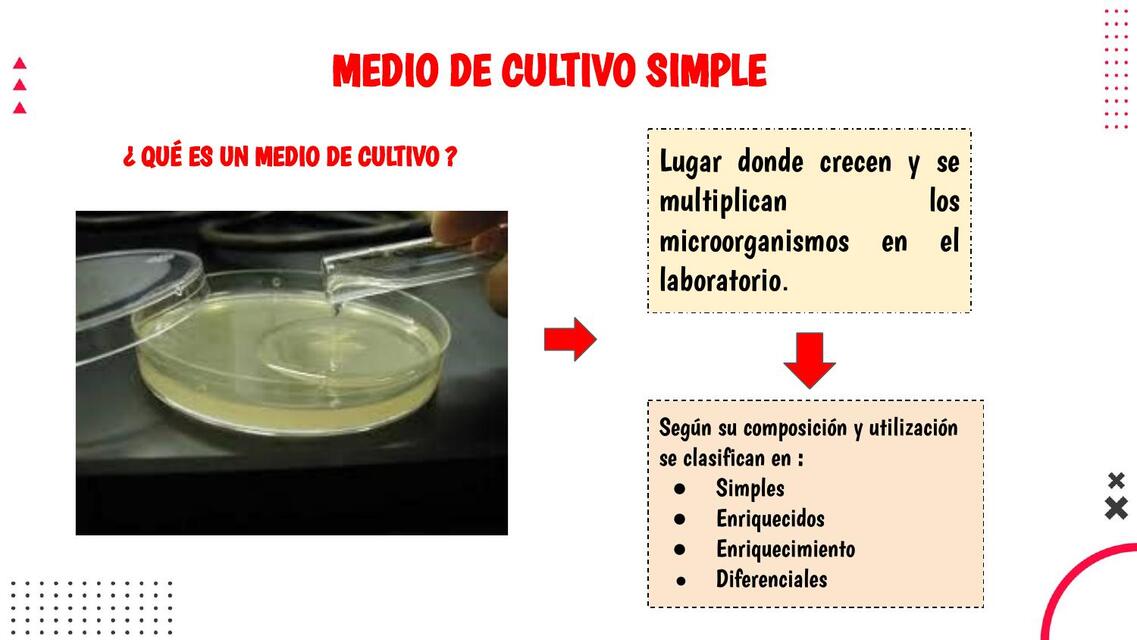 Medio de cultivo simple 