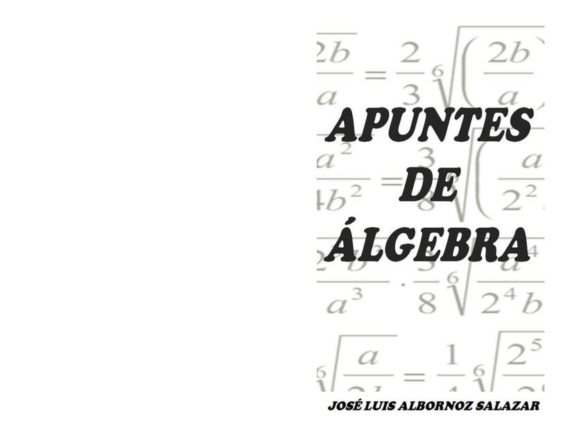 Apuntes de Álgebra 