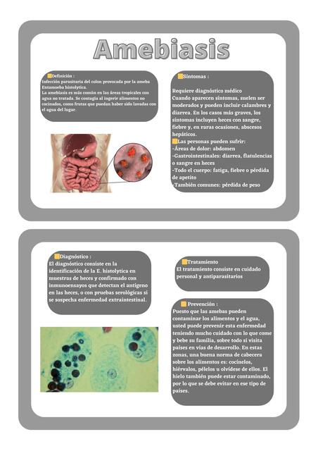 Flashcards de Chagas , amebiasis y leishmaniasis 