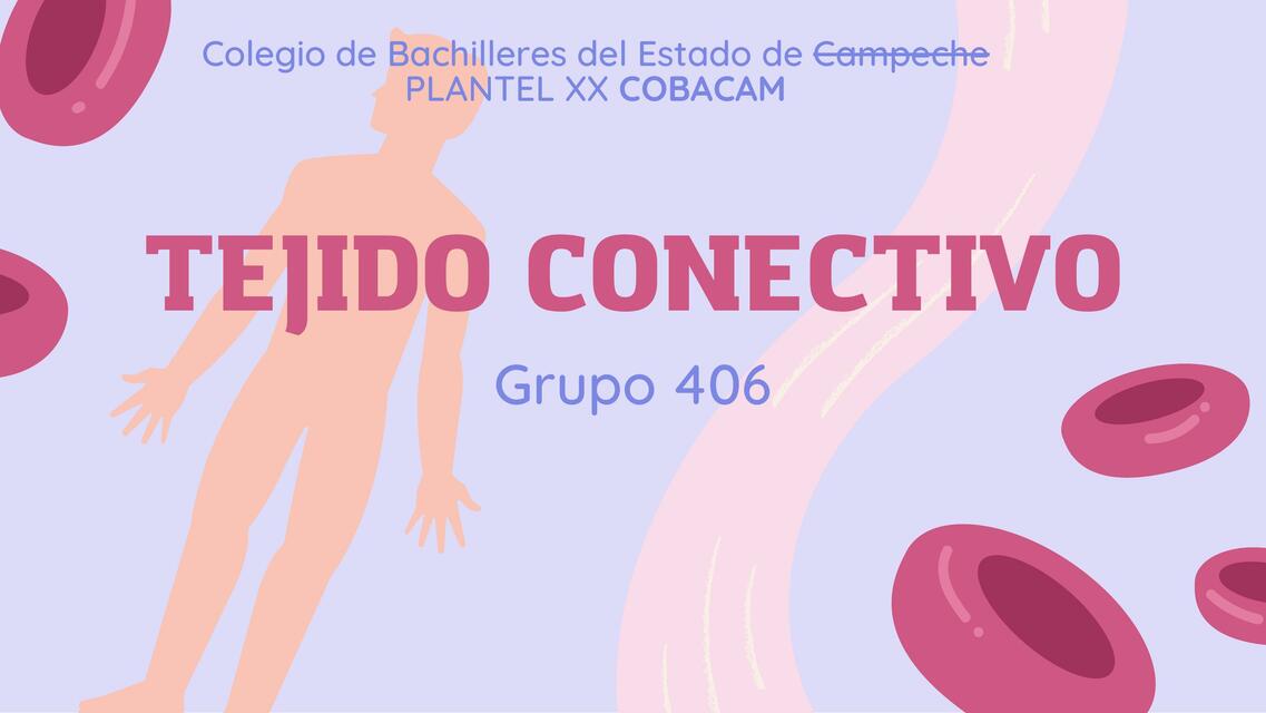 Tejido Conectivo 