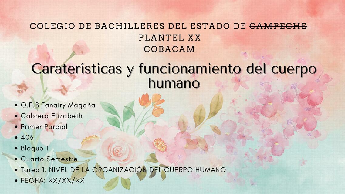 Características y Funcionamiento del Cuerpo Humano 