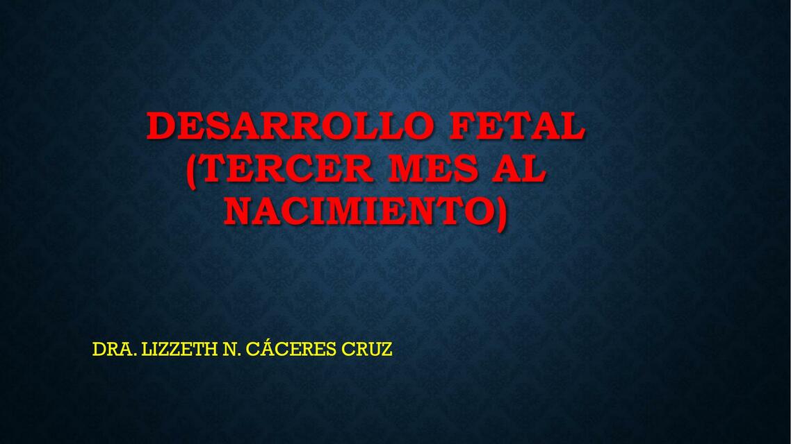 Desarrollo Fetal 