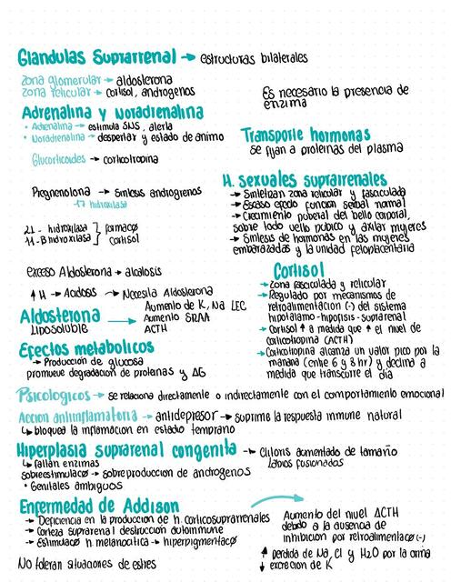 Hormonas Coticosuprarrenal