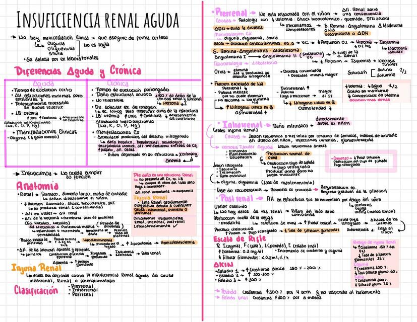 Insuficiencia Renal Aguda 