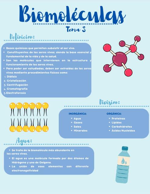 Biomoléculas