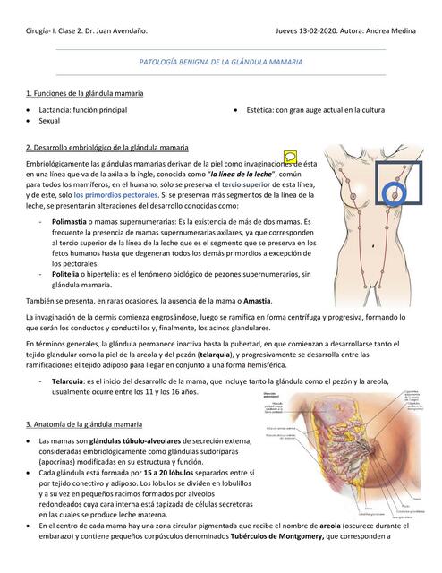  Patología Mamaria  