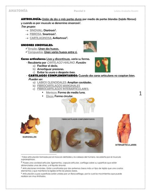 Artrologia Generalidades  