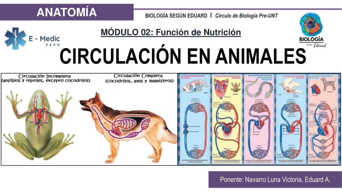 Respiración y Circulación en los Seres Vivos 