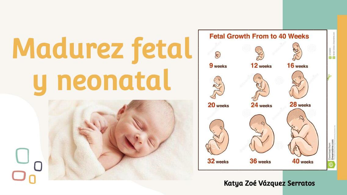 Madurez fetal y neonatal