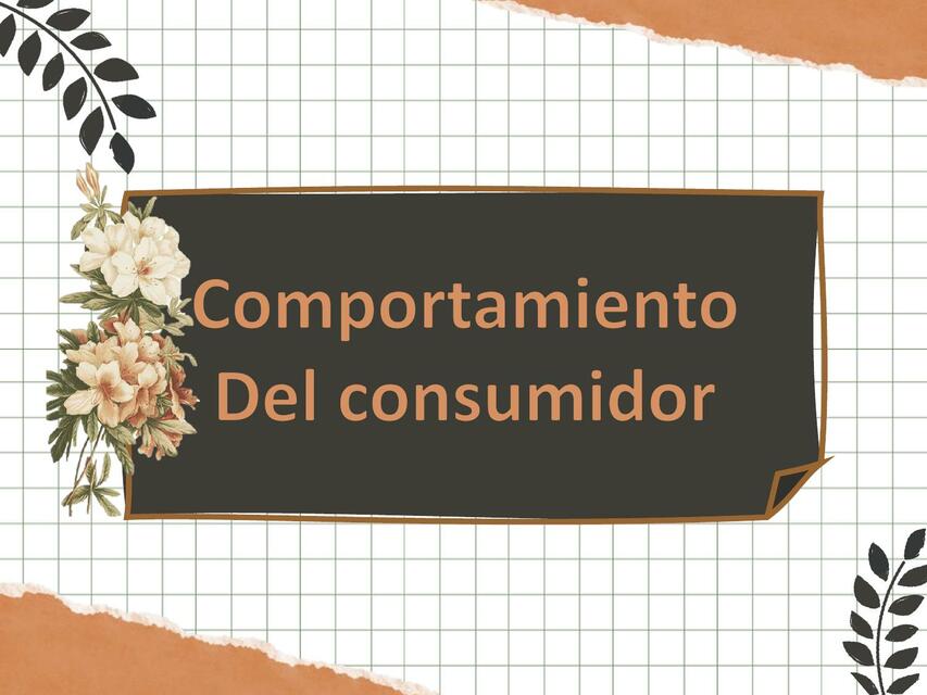 Comportamiento del consumidor segmentacion