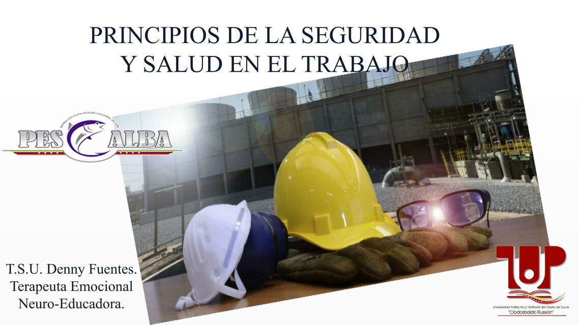 Principios de la Seguridad y Salud en el Trabajo