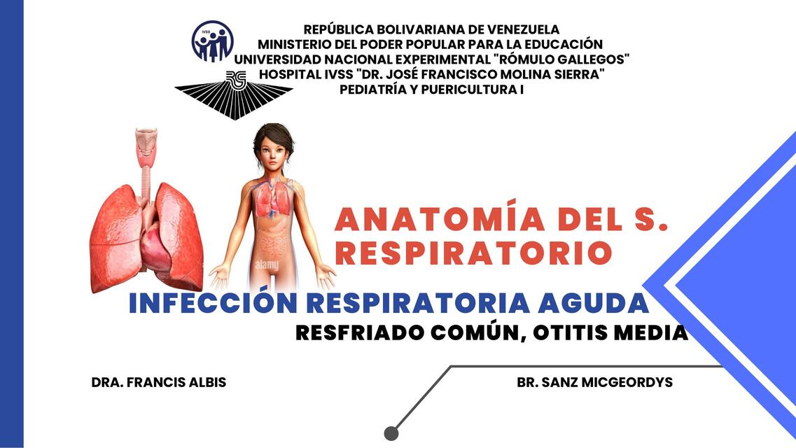 Anatomía del sistema respiratorio 