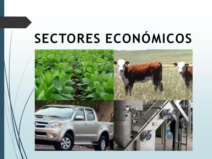 Sectore económicos