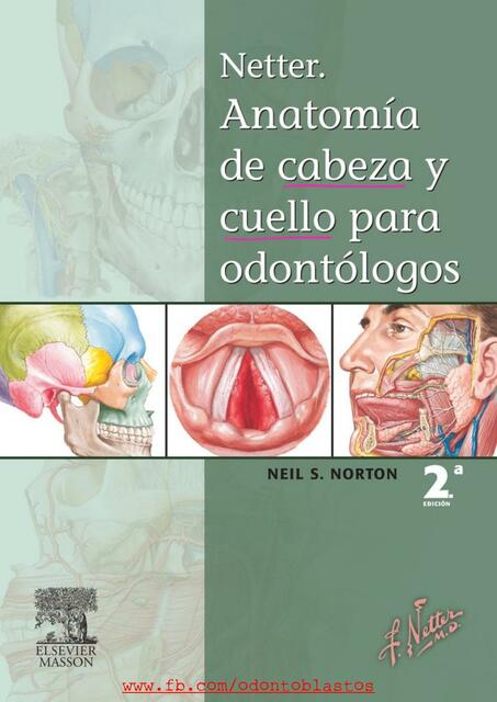 Anatomía de cabeza y cuello para odontólogos NET