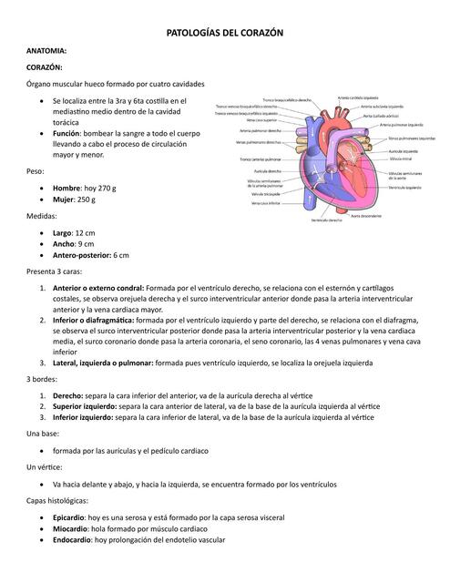 Patología del corazón