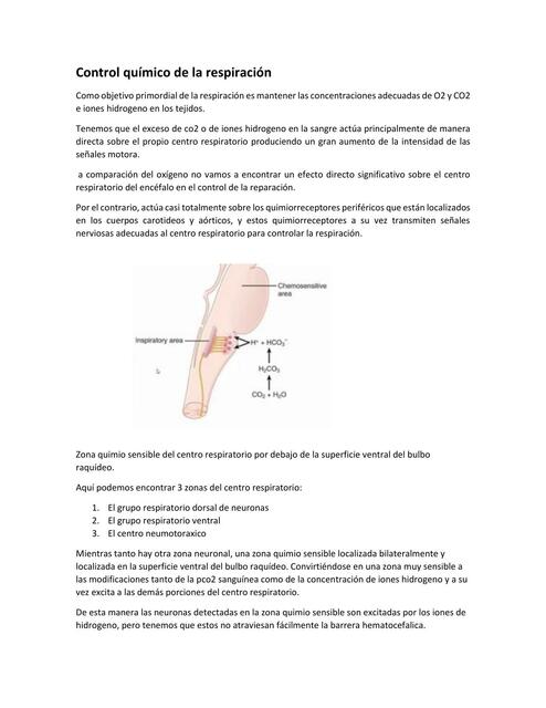 Control químico de la respiración