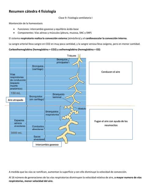 Fisiología Ventilatoria I 