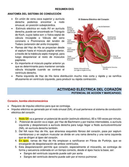 Resumen EKG 