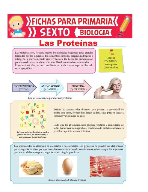 Proteínas