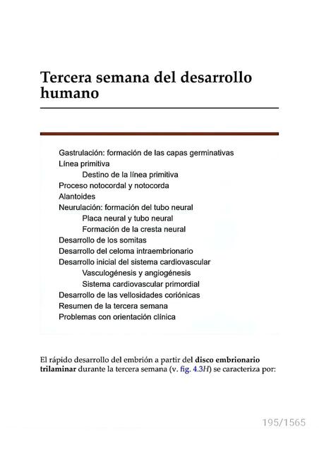 Tercera Semana del Desarrollo Humano 