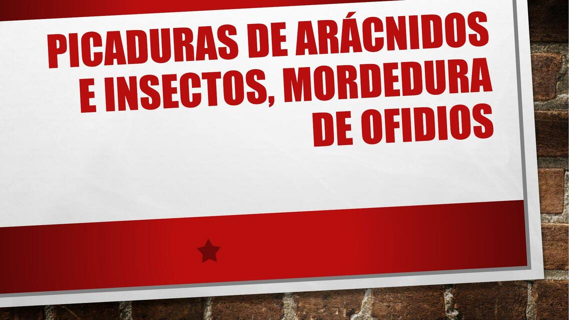 Picaduras de arácnidos e insectos, mordedura de ofidios