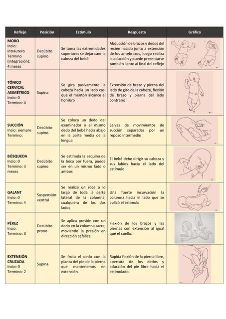 Reflejos y tono en el recién nacido 
