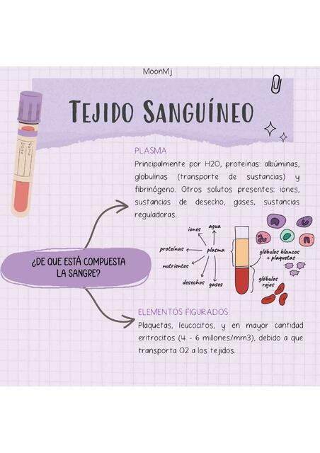 Tejido Sanguíneo 