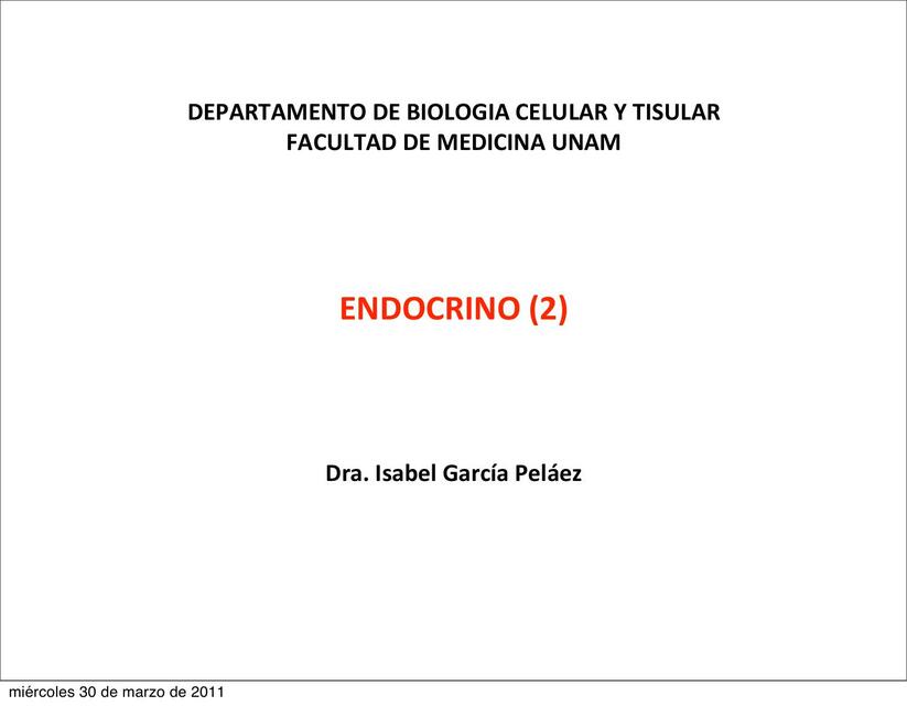 Endocrino 