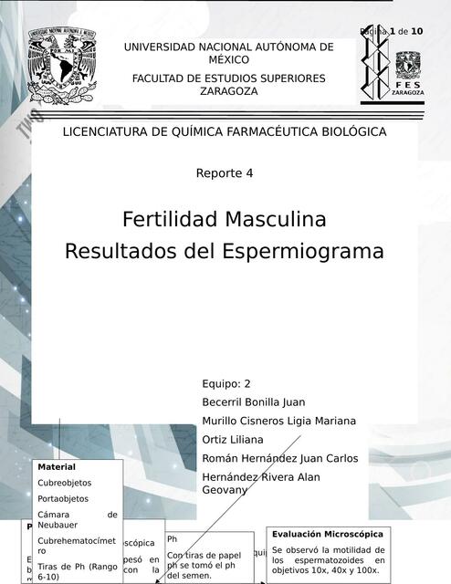 Fertilidad Masculina 