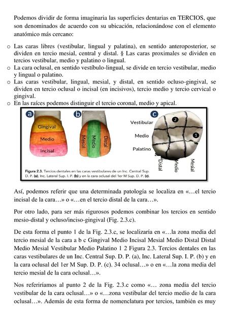 Odontología