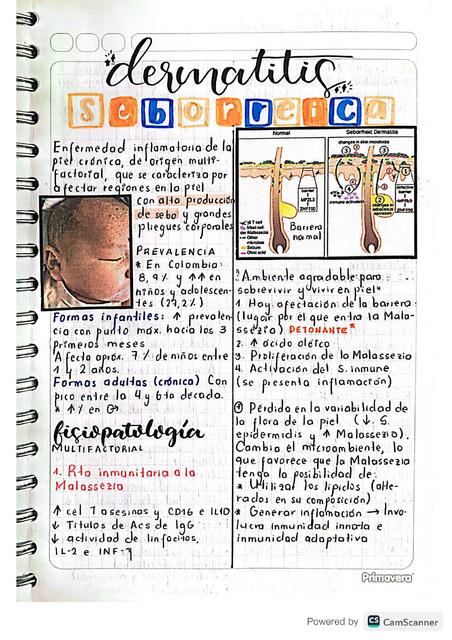 Dermatitis seborreica